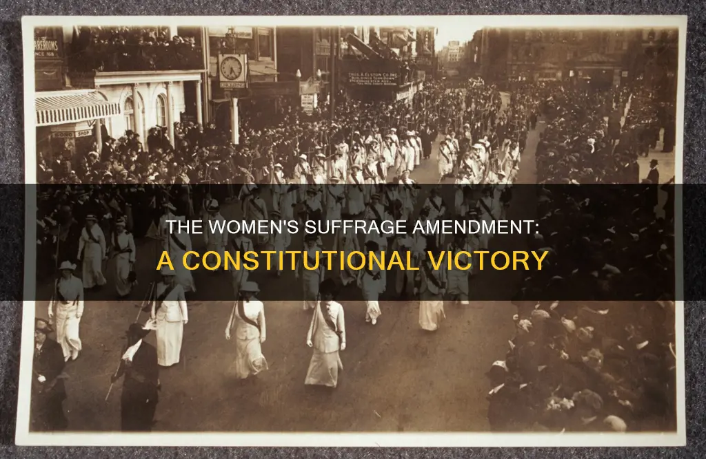 which constitutional amendment related to voting rights for women