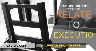 The Death Penalty and the Constitution