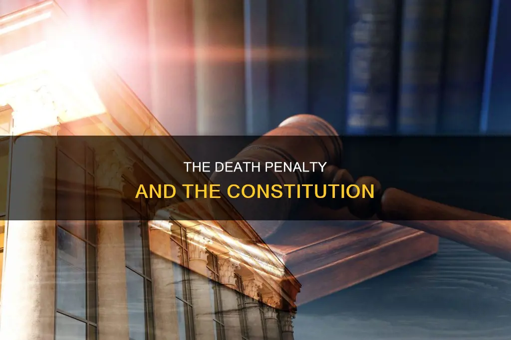 which constitutional amendment relates to executions