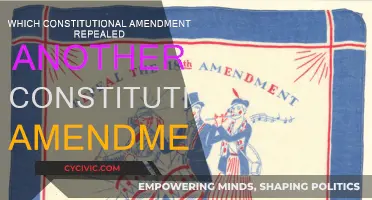 The Amendment: A Constitutional Repeal