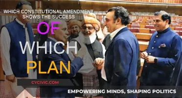 Amendments: The Evolution of Constitutional Success