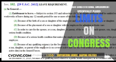 Congressional Constraints: Amendments Limit Lawmakers' Powers