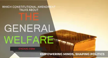 The General Welfare Clause: Constitutional Amendment Explained