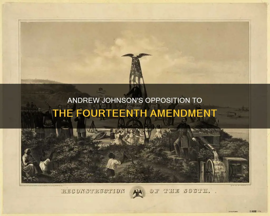which constitutional amendment was opposed by andrew johnson