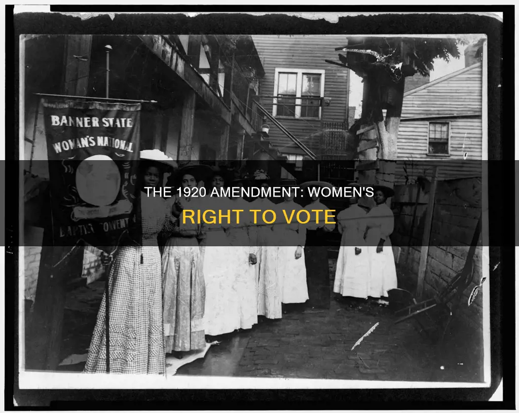 which constitutional amendment was ratified in 1920