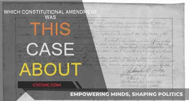 The Landmark Case: Constitutional Amendment Focus