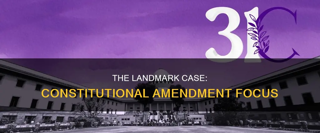which constitutional amendment was this case about