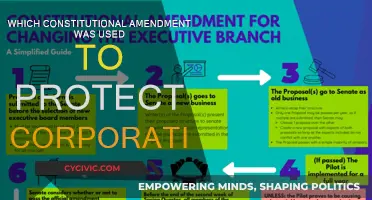 The Corporate Shield: Constitutional Amendments Explored