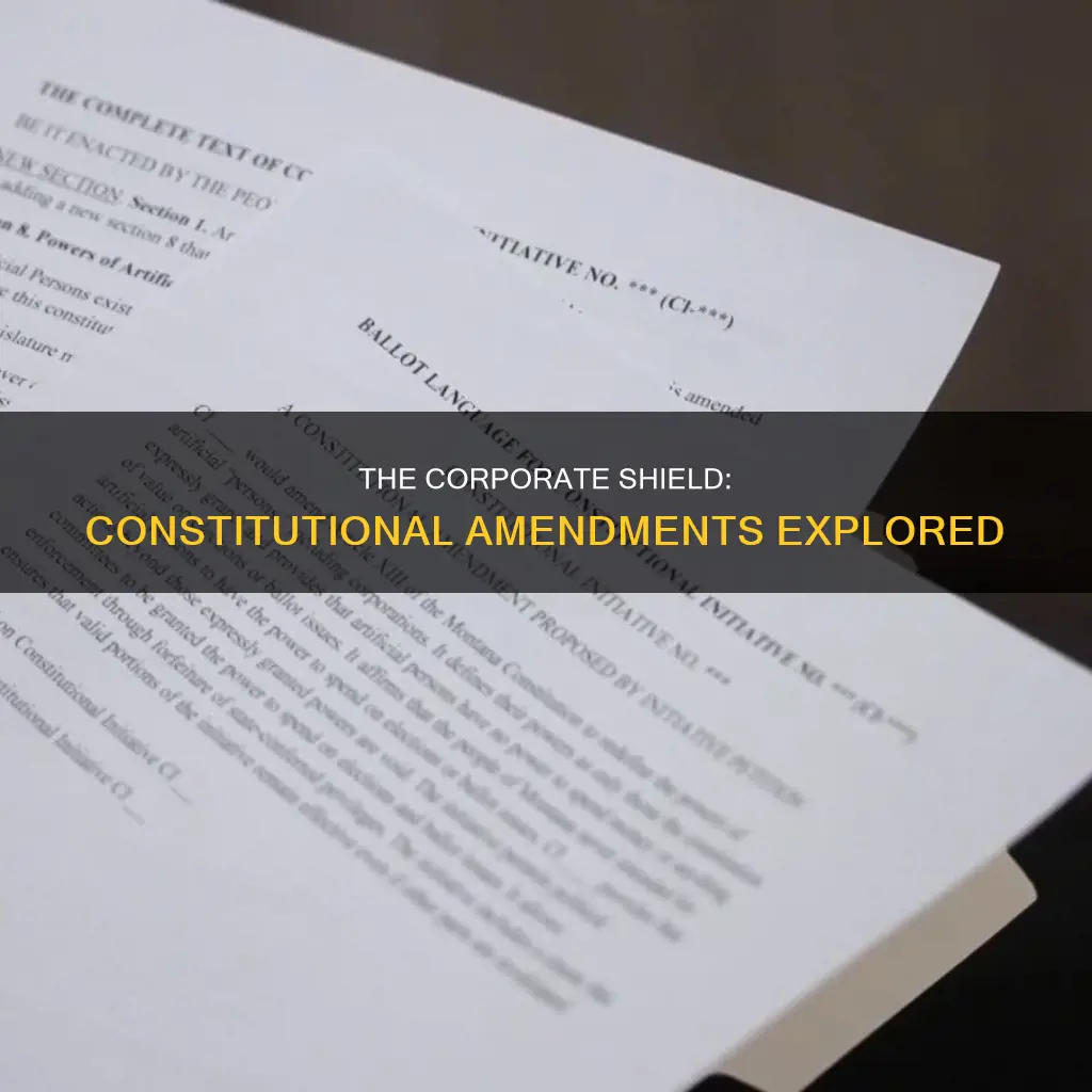 which constitutional amendment was used to protect corporations