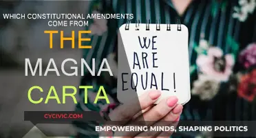 The Magna Carta's Legacy: Constitutional Amendments