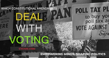Constitutional Amendments: Voting Rights and Their Evolution