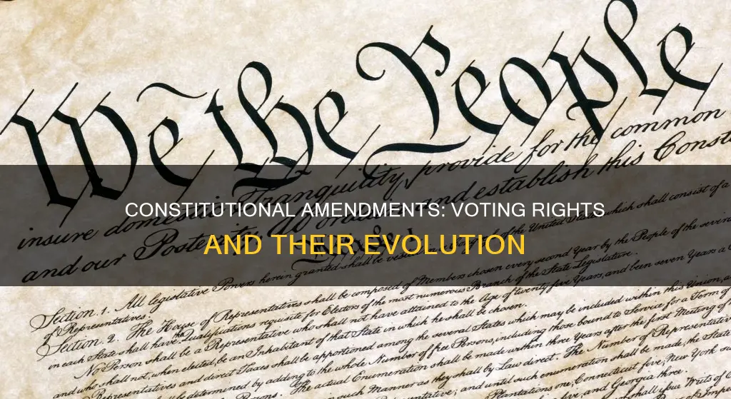 which constitutional amendments deal with voting