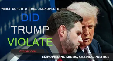 Trump's Constitutional Violations: Which Amendments Were Broken?