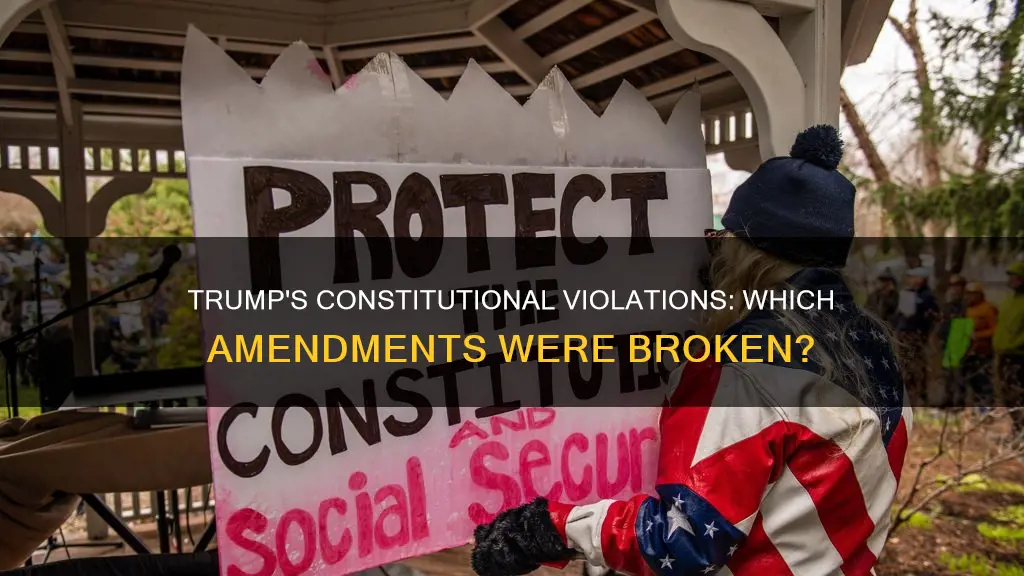 which constitutional amendments did trump violate