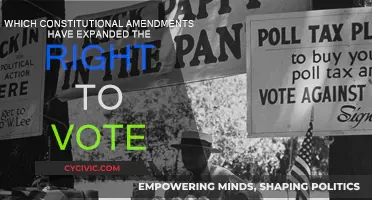 Amendments Expanding Voting Rights: A Historical Overview
