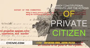 Amendments: Private Citizen Actions and Their Limits