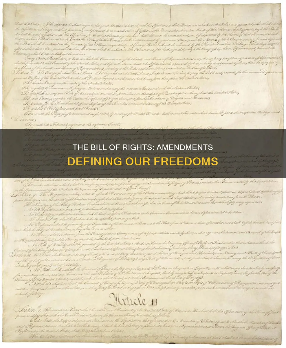 which constitutional amendments make up the bill of rights