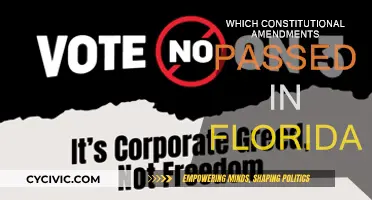 Florida's Constitutional Amendments: What Passed?