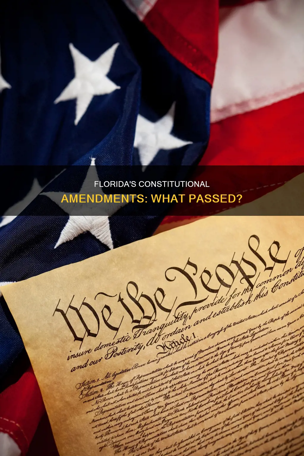 which constitutional amendments passed in florida