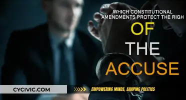 The Accused: Constitutional Amendments for Their Rights