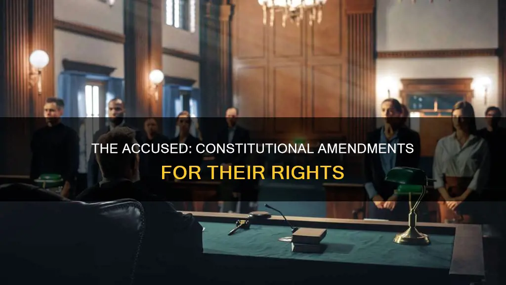 which constitutional amendments protect the rights of the accused
