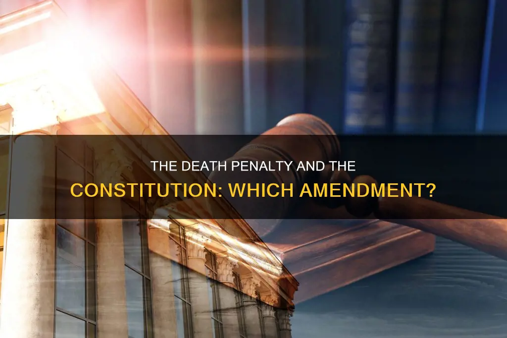 which constitutional ammendment relates to the death penalty