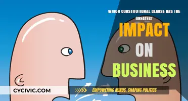 Constitutional Clauses: Shaping Business Laws and Practices