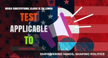 Lemon Test: Which Constitutional Clause?