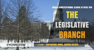 The Legislative Branch: Constitutional Clause Essentials