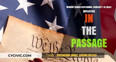 Constitutional Concepts: Passage Reflection