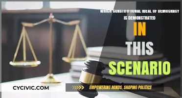 The Right to Vote: A Core Constitutional Democracy Ideal