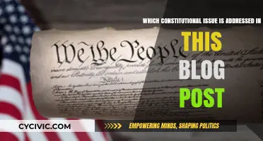 Constitutional Rights: Exploring Key Issues and Their Impact