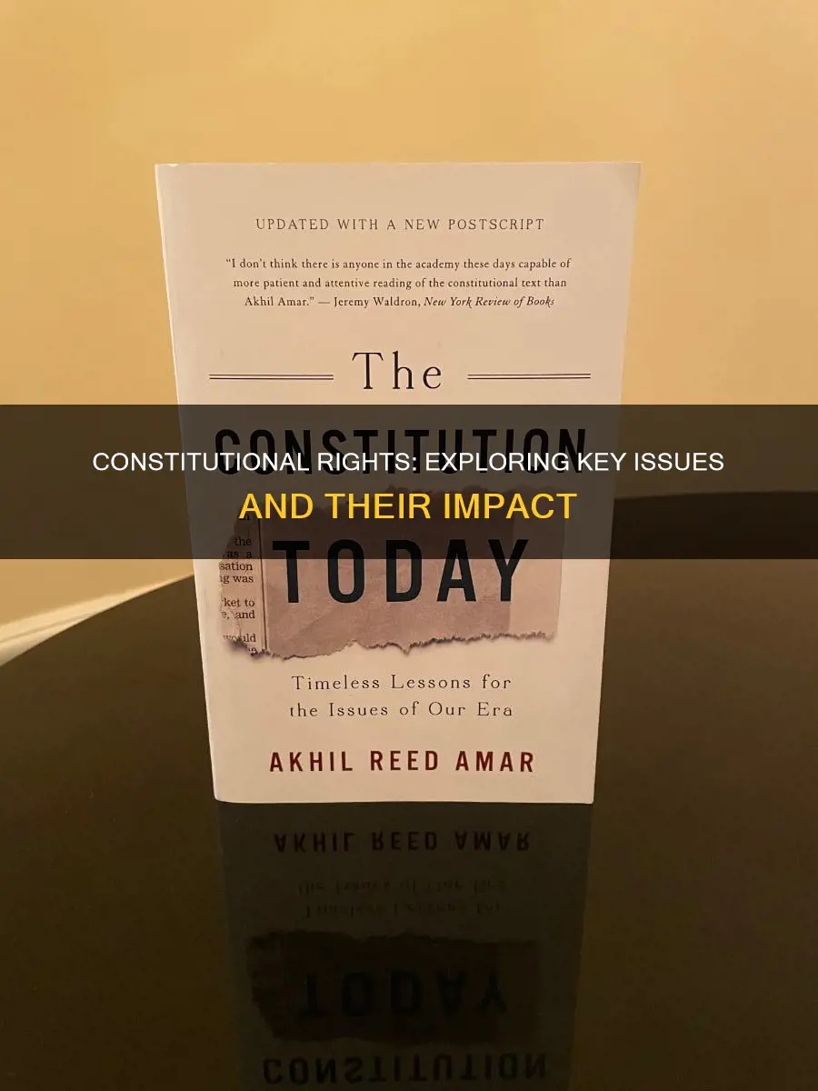 which constitutional issue is addressed in this blog post