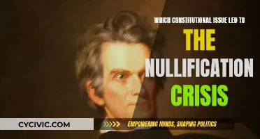 The Nullification Crisis: States' Rights and the Constitution
