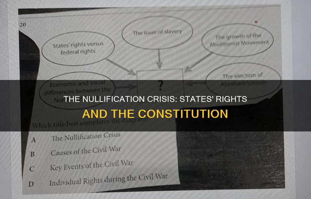 which constitutional issue led to the nullification crisis