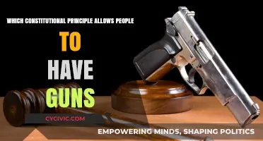 The Right to Bear Arms: A Constitutional Principle