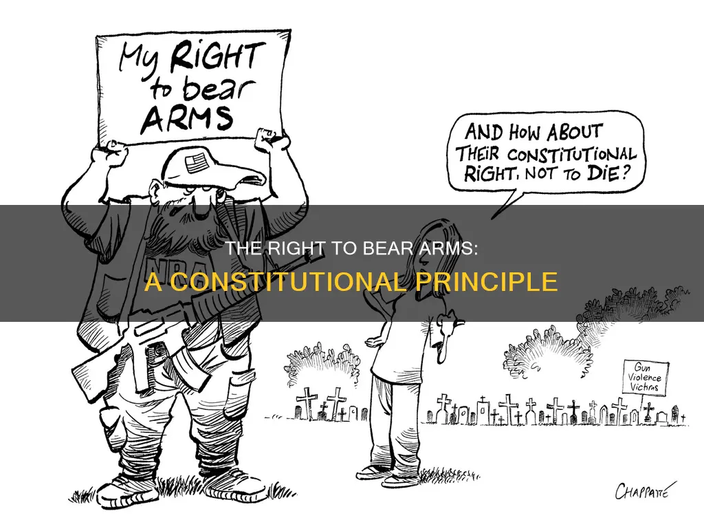which constitutional principle allows people to have guns