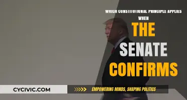 The Senate's Constitutional Duty: Confirming Nominees