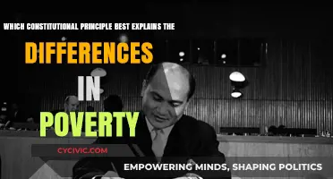 Constitutional Principles and Poverty: Understanding the Divide