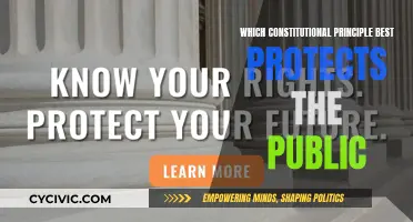 The Constitution's Safeguards: Public Protection Principles