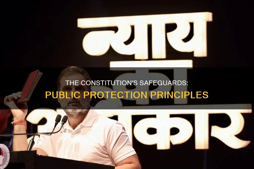 which constitutional principle best protects the public
