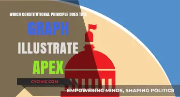 The Apex Graph: A Constitutional Principle Visualized
