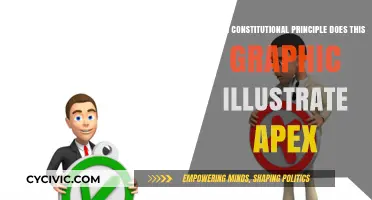 The Separation of Powers: Apex's Constitutional Principle