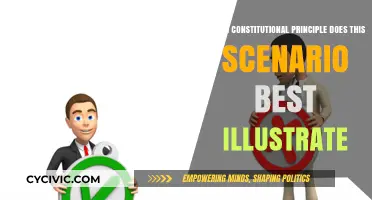 The Supreme Court: Interpreting the Constitution