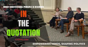 Constitutional Principles: Understanding Quotations and Their Meanings