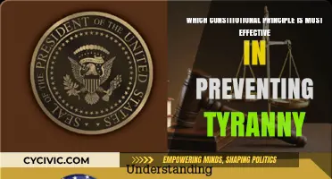 Preventing Tyranny: The Most Effective Constitutional Principle