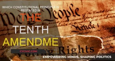 The Tenth Amendment: Powers Reserved to the States