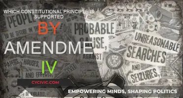 The Fourth Amendment: Protecting Our Constitutional Rights