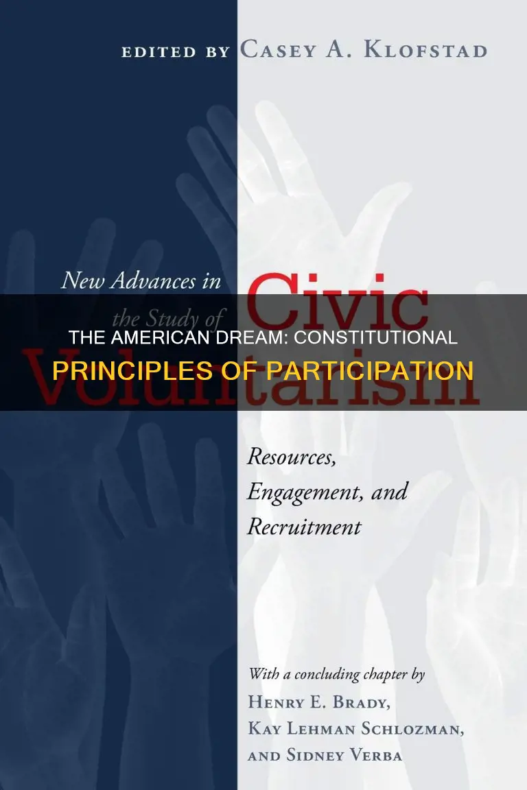 which constitutional principle most reflects the american value of participation