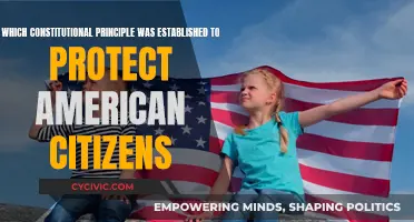 Protecting Americans: Constitutional Principles at Work